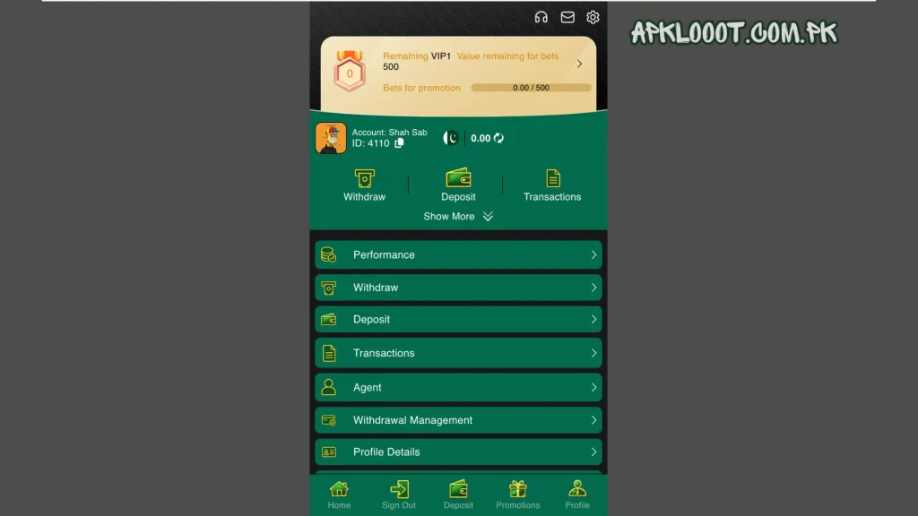 99EF Game profile page showing personal information, account settings, and profile management options.