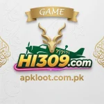 HI309 Game
